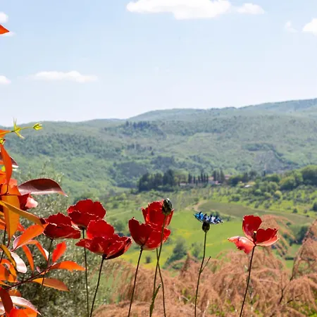 Casa Il Cipresso, In The Heart Of Chianti With Swimming Pool * Castellina in Chianti