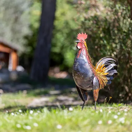 Holiday home Casa Il Cipresso, In The Heart Of Chianti With Swimming Pool *
